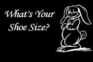 What's Your Shoe Size?