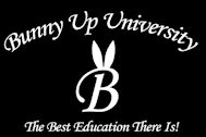 Bunny Up University